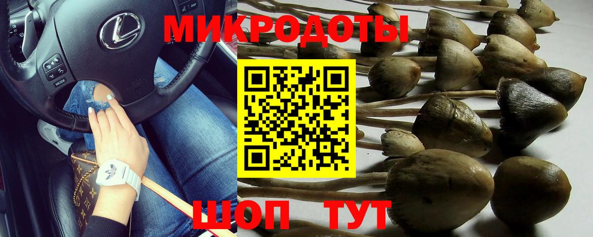 Псилоцибиновые грибы MAGIC MUSHROOMS  Вышний Волочёк 