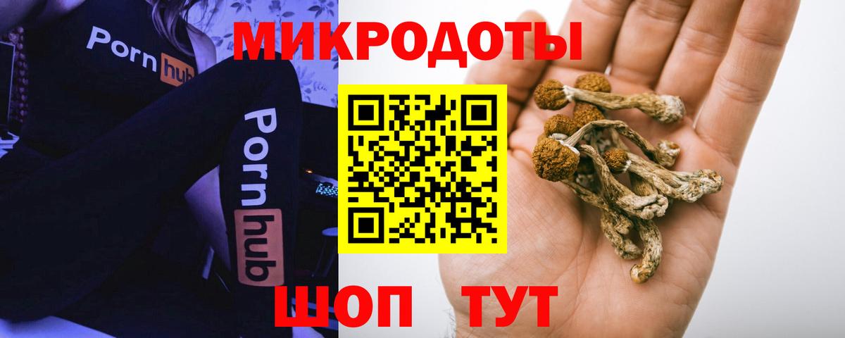 Галлюциногенные грибы мухоморы Вышний Волочёк