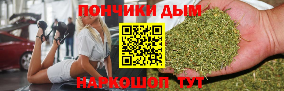 Бошки Шишки гибрид Вышний Волочёк